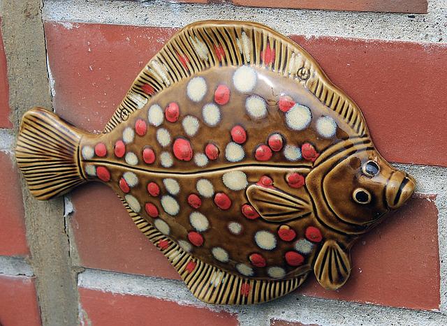 A plaice, responsibly sourced from pixabay